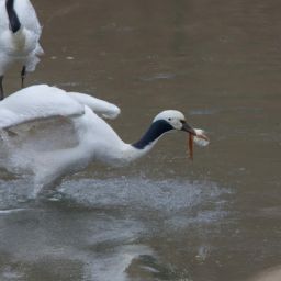 如何正確護(hù)膚，讓你擁有美麗的面容