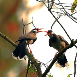 <strong>美容</strong>護(hù)膚話術(shù)：擁有青春明眸，輕松呵護(hù)美麗肌膚