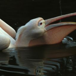 <strong>美容</strong>護(hù)膚原理與技術(shù)：為您揭秘