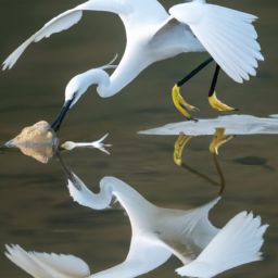 <strong>美容</strong>護(hù)膚禁忌：關(guān)于<strong>美容</strong>護(hù)膚你不能忽視的事項(xiàng)