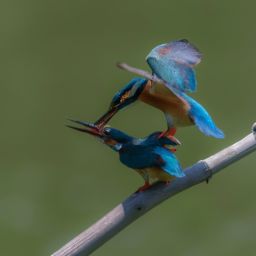 如何獲得<strong>美容</strong>護(hù)膚證及<strong>美容</strong>護(hù)膚證書 - 提升職業(yè)發(fā)展的關(guān)鍵步驟